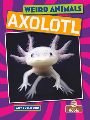 cover image of Axolotl